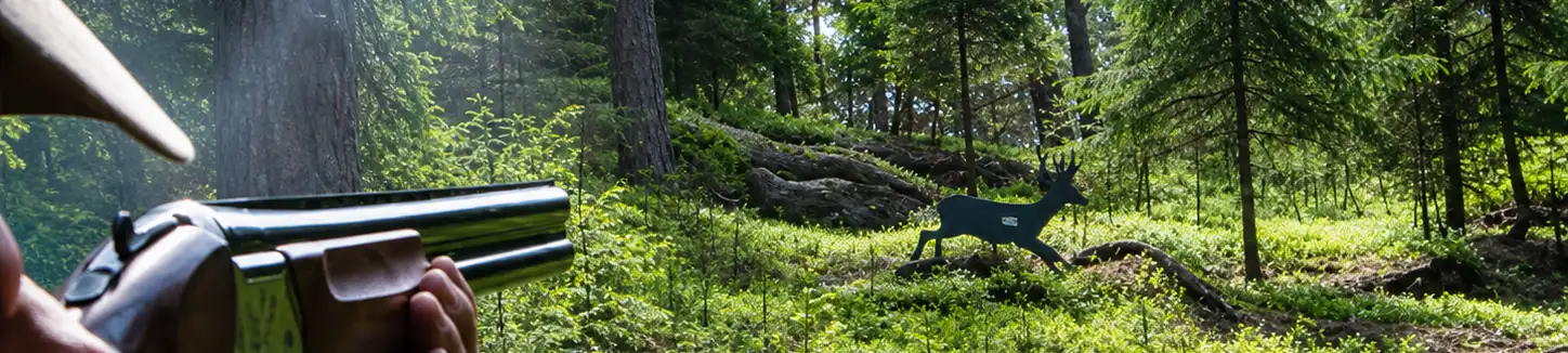 Jaktstig i svensk skog