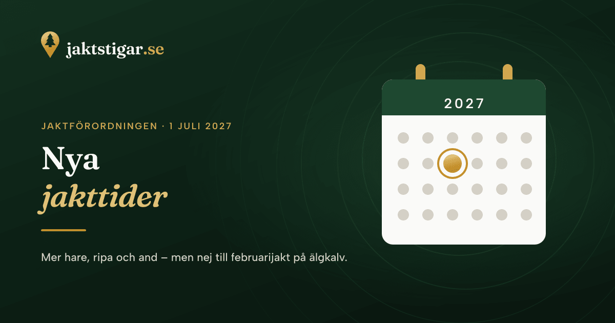 Nya jakttider beslutade – det här gäller från 1 juli 2027